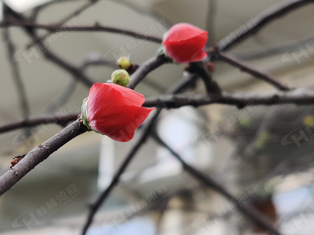 k1体育
花团锦簇，满园春色，邀您一起共赏春景，共商大计！