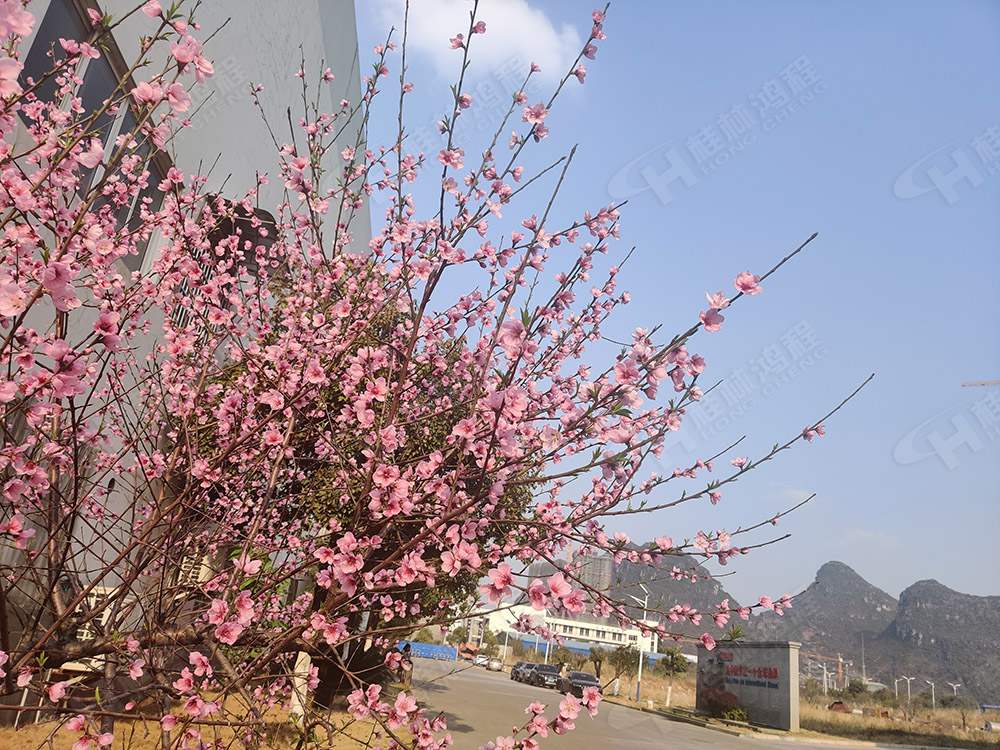 k1体育
花团锦簇，满园春色，邀您一起共赏春景，共商大计！